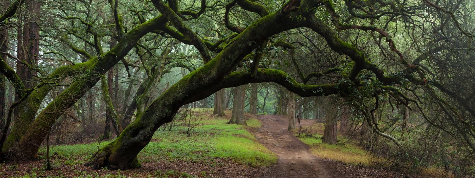 Joaquin Miller Park